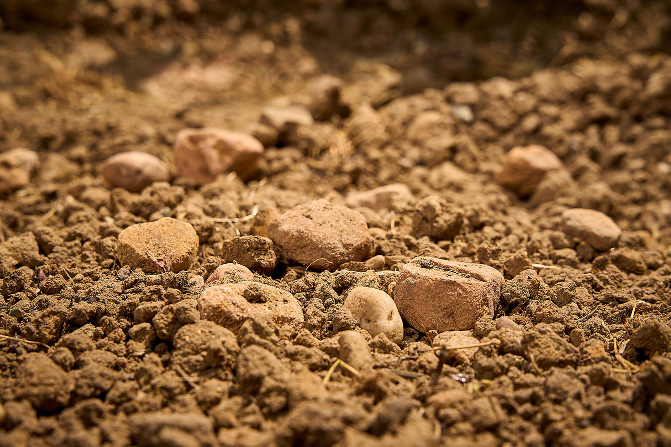 Lehm bis lehmiger Sand, Buntsandsteingeröll, Kalksteingeröll, Kalksteinverwitterung