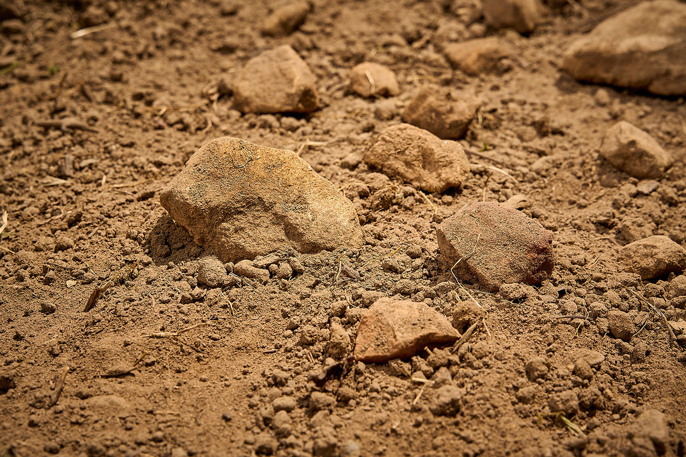 Lehm, lehmiger Sand, Sandsteingeröll