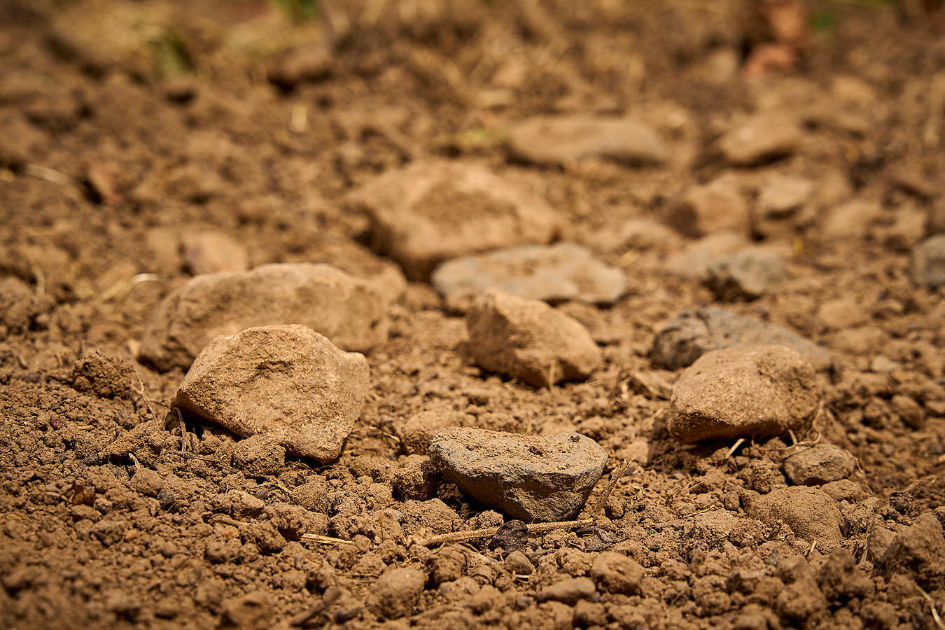 Buntsandsteingeröll, toniger Sand