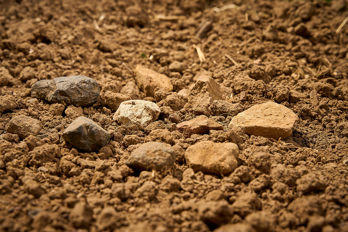 Buntsandsteinverwitterungen, Sand- und Toneinlagerungen, Kalkgeröll, vulkanischer Basalt