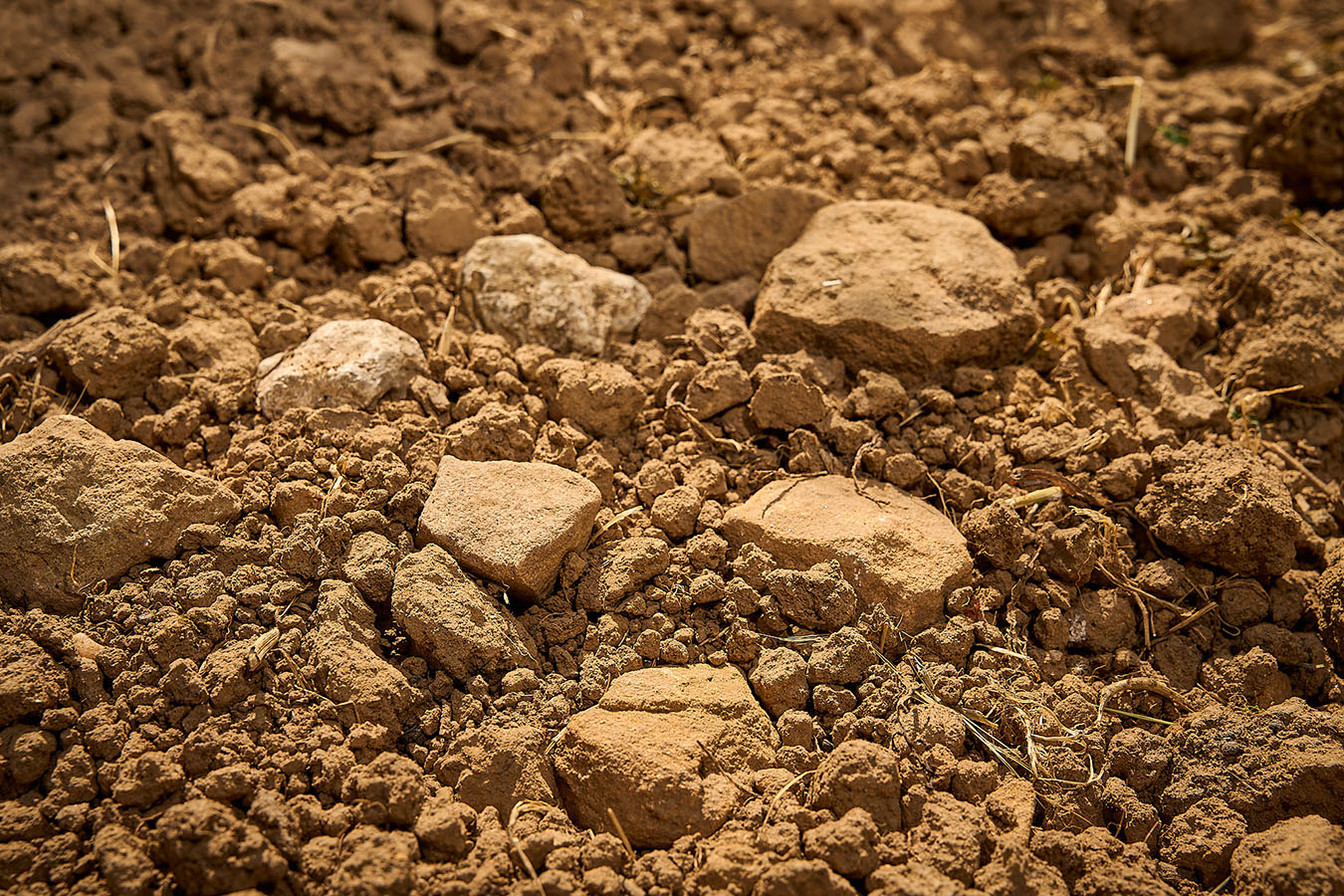 Buntsandsteinverwitterung, lehmiger Sand, Muschelkalk