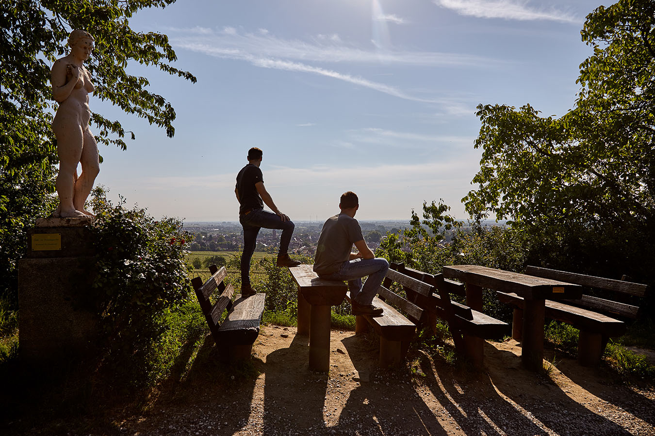 Blick auf die Weinlage Deidesheimer Paradiesgarten